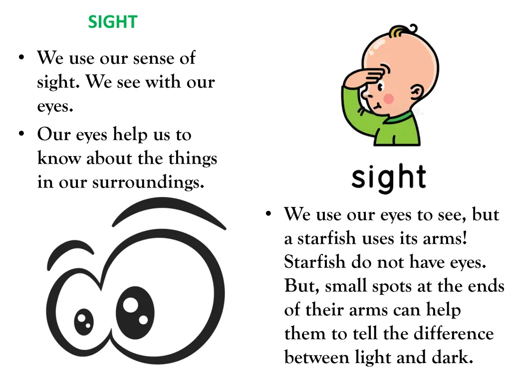 sight
