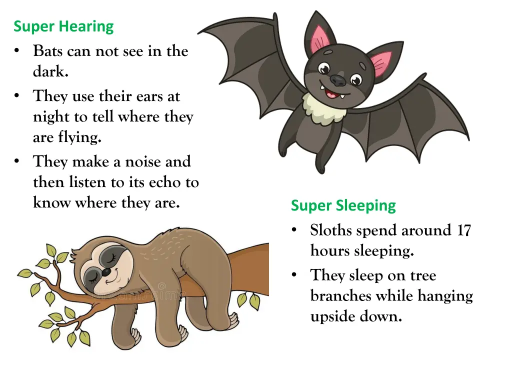 super hearing bats can not see in the dark they