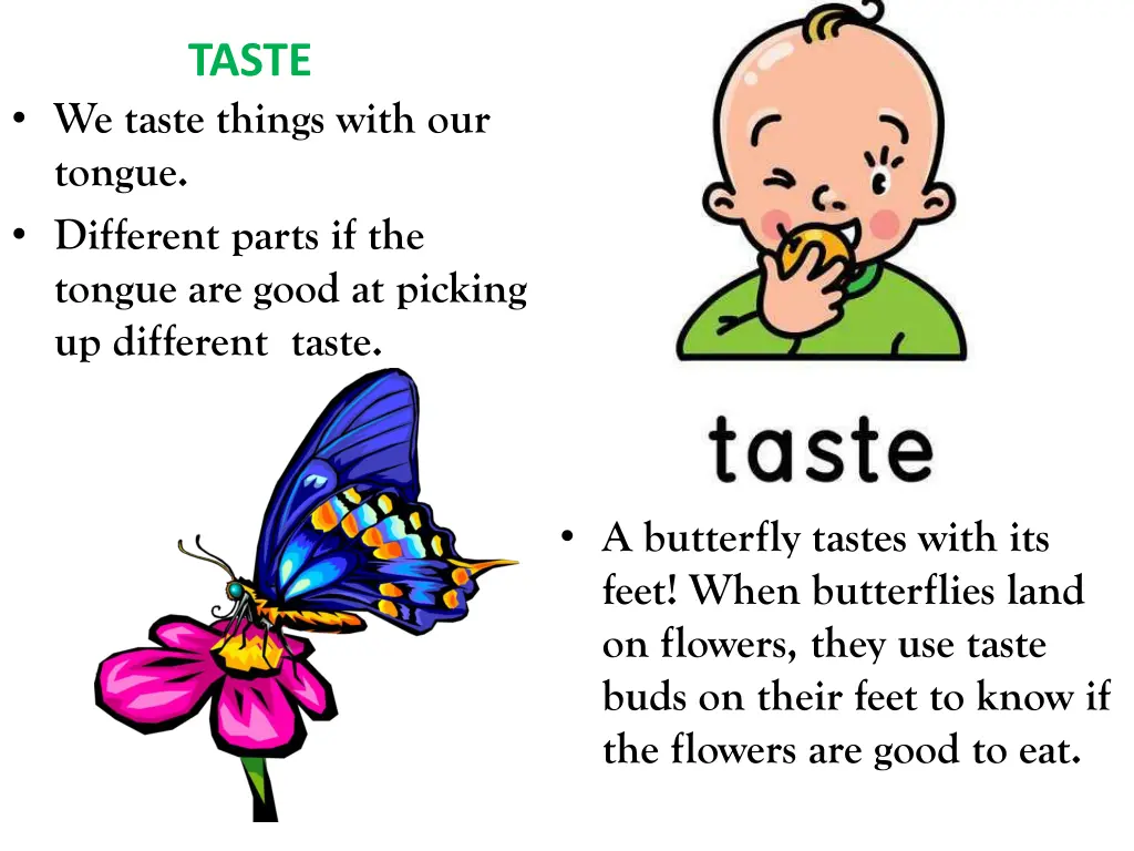 taste
