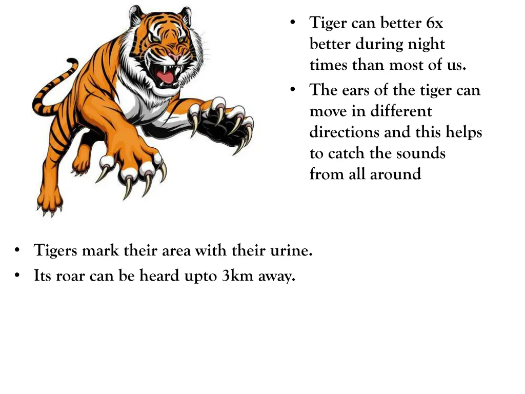 tiger can better 6x better during night times