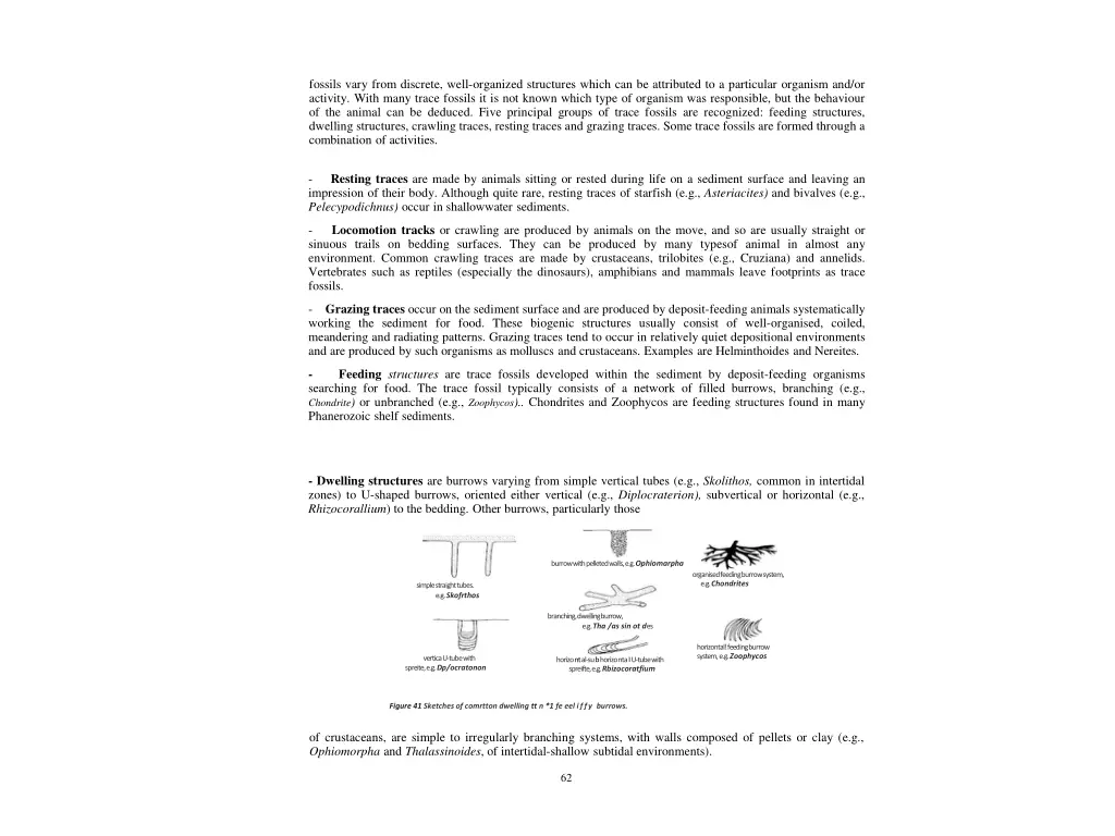 fossils vary from discrete well organized