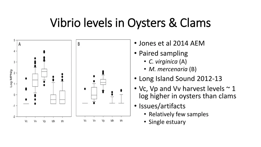 vibrio levels in oysters clams vibrio levels