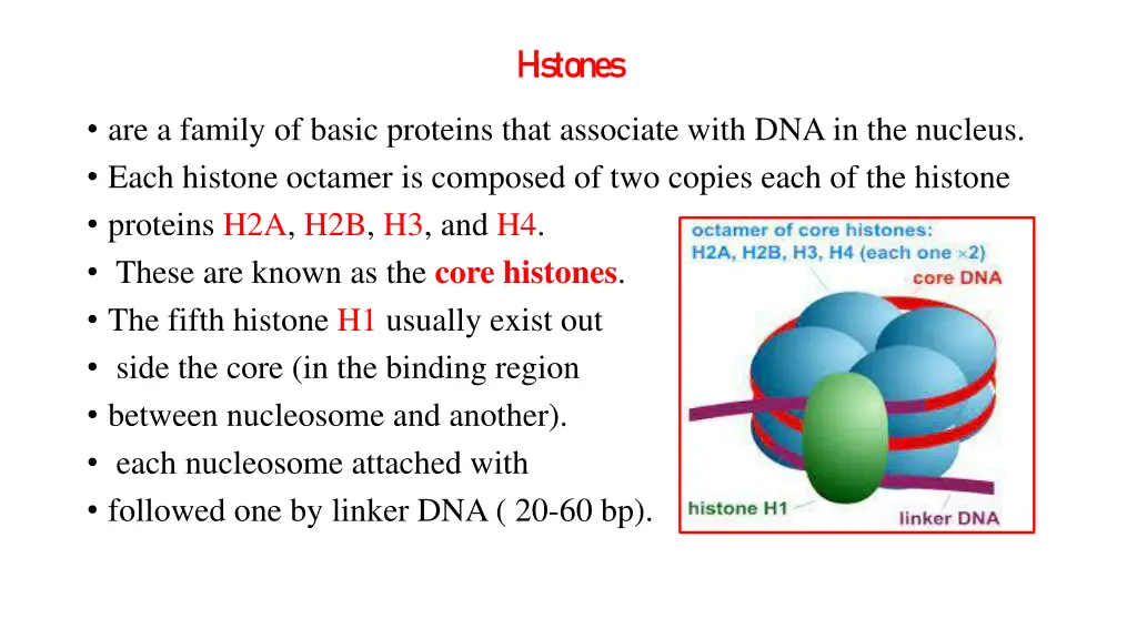h istones