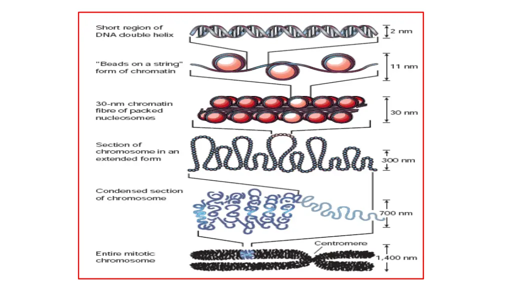 slide15