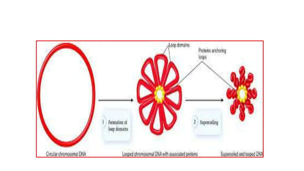slide6
