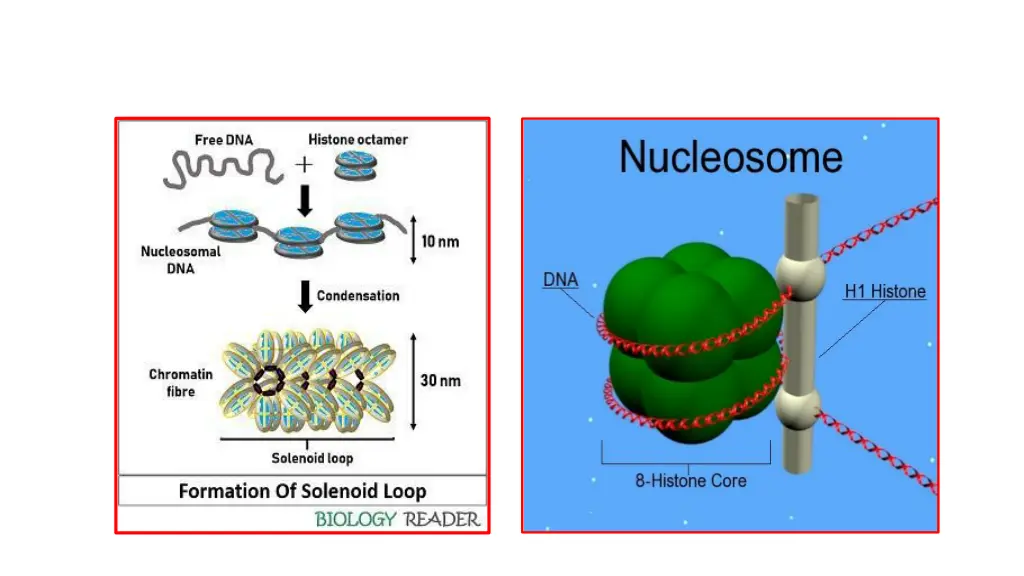 slide9