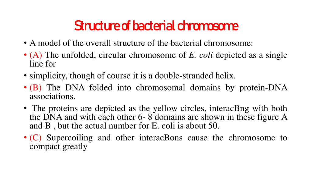 structure of bacterial chrom osom e amodel
