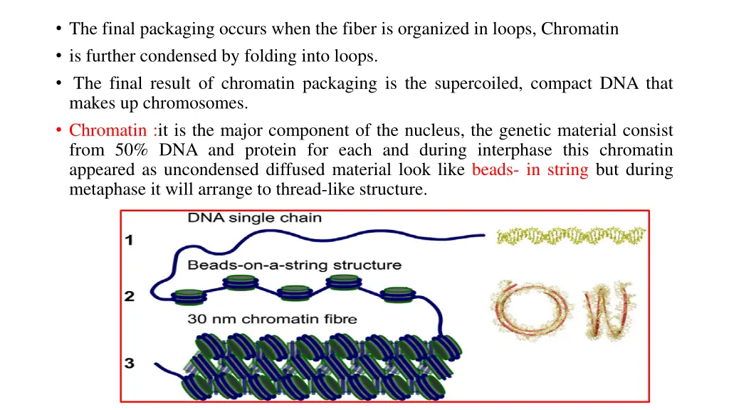 the final packaging occurs when the fiber