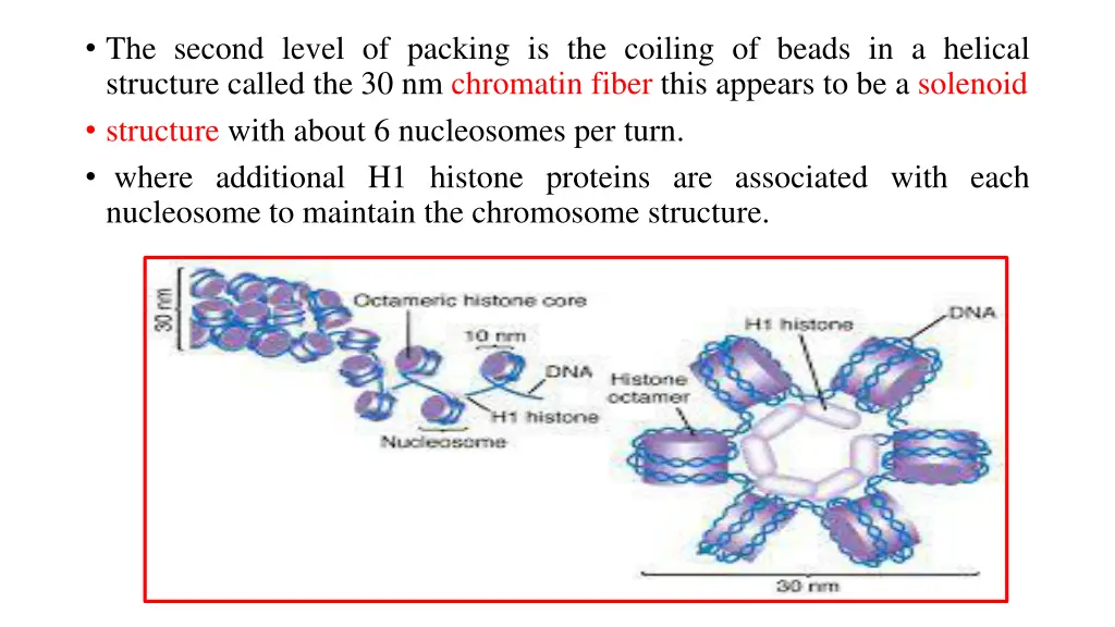 the second level of packing is the coiling