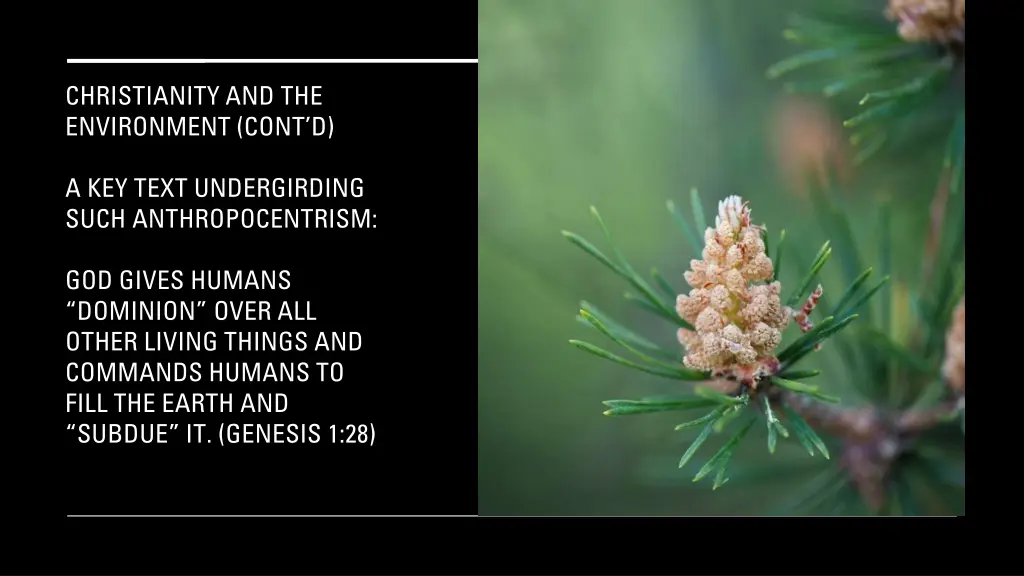 christianity and the environment cont d 1