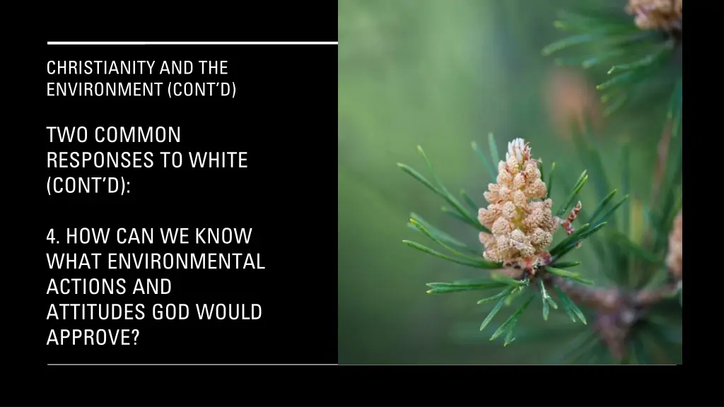 christianity and the environment cont d 11