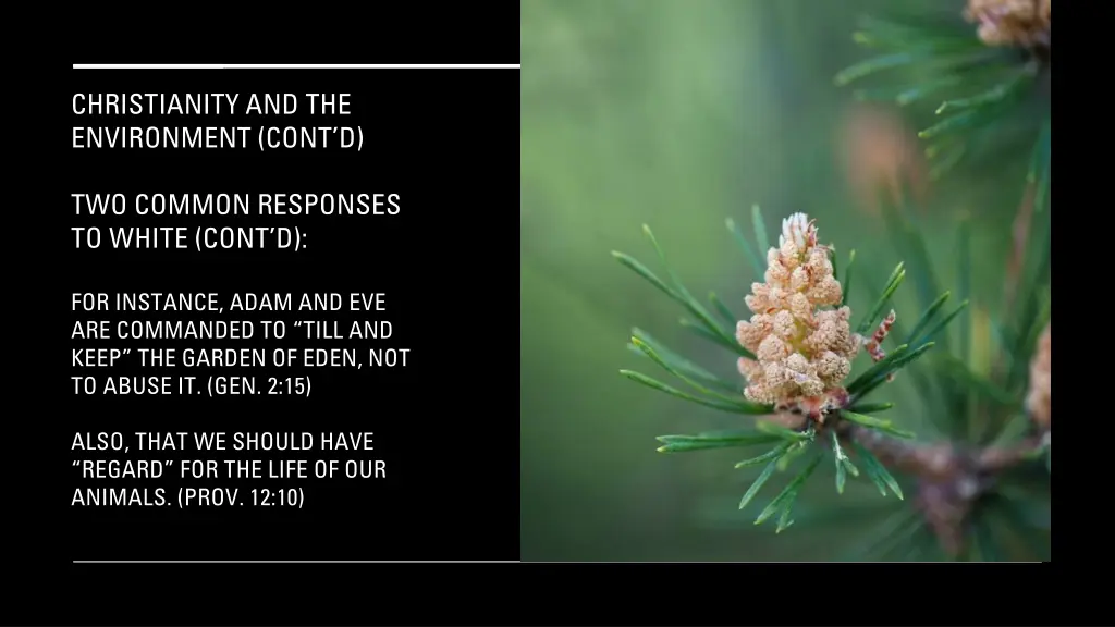 christianity and the environment cont d 5