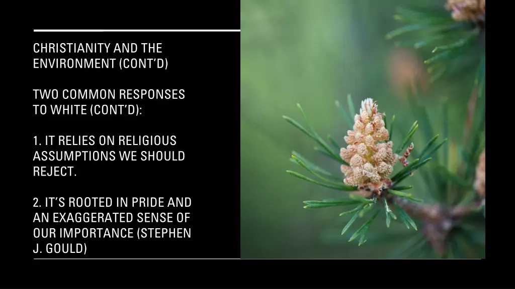 christianity and the environment cont d 9