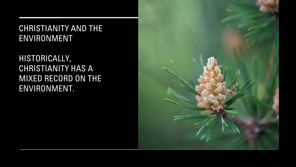 christianity and the environment