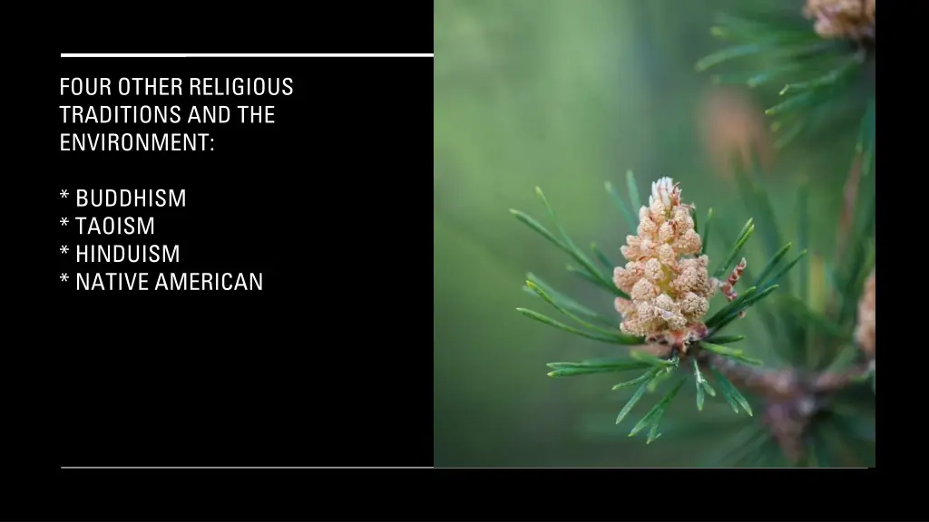 four other religious traditions