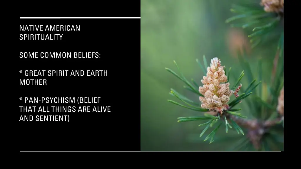 native american spirituality