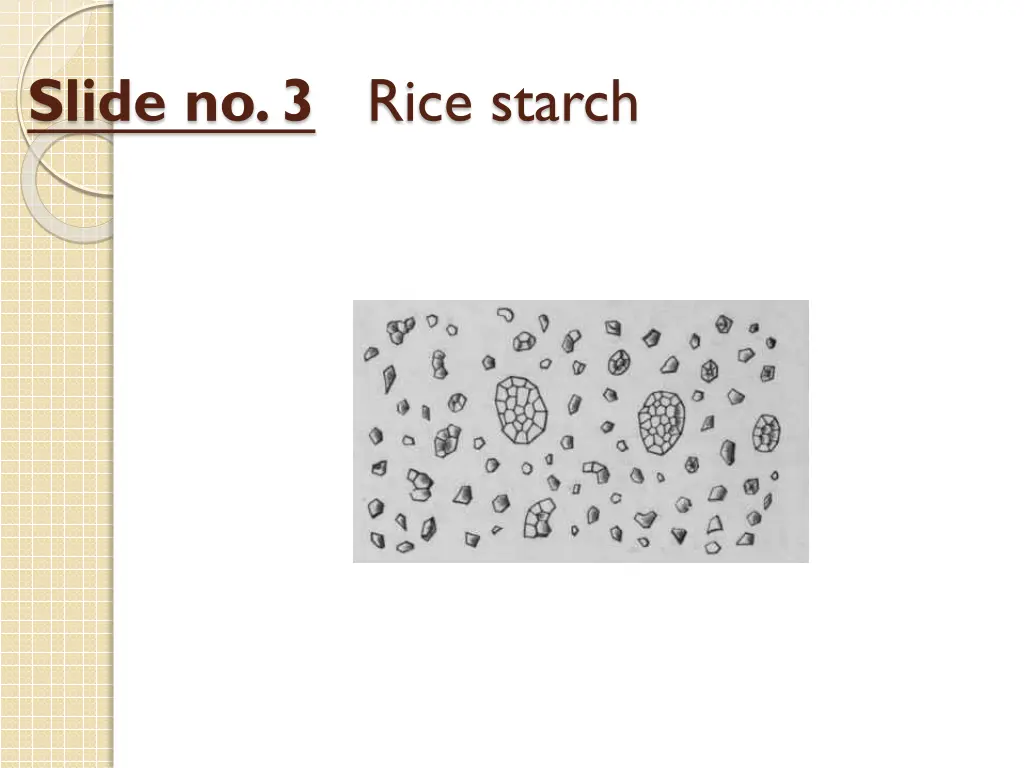 slide no 3 rice starch