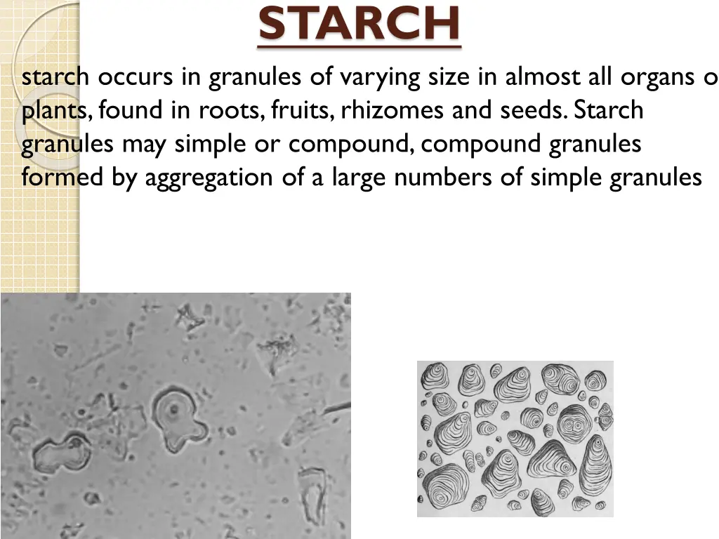 starch 1
