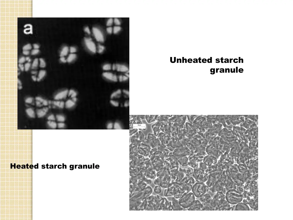 unheated starch