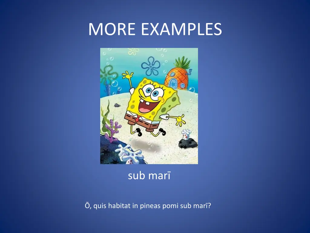 more examples