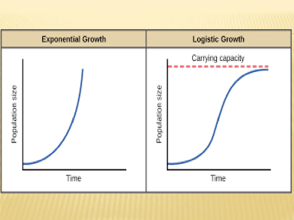 slide12