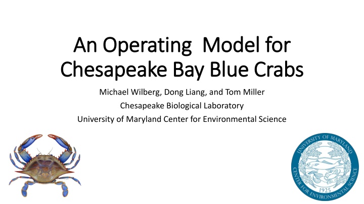 an operating model for an operating model