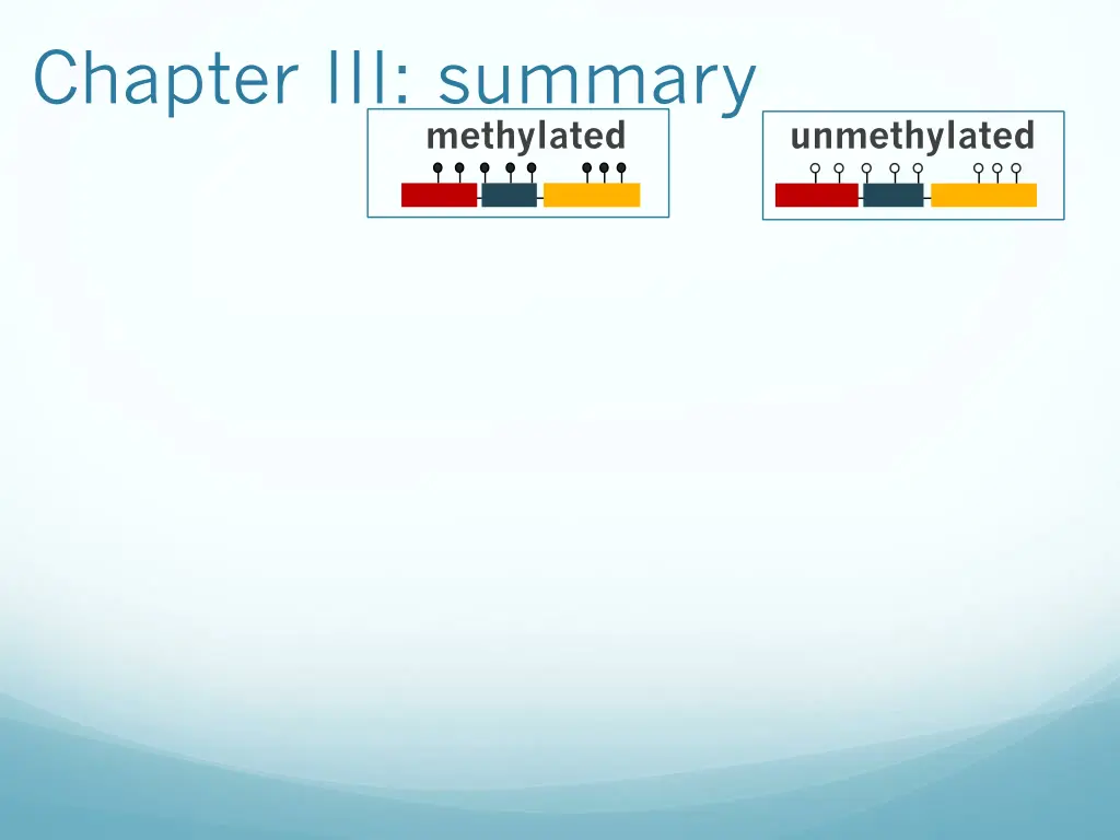 chapter iii summary 1