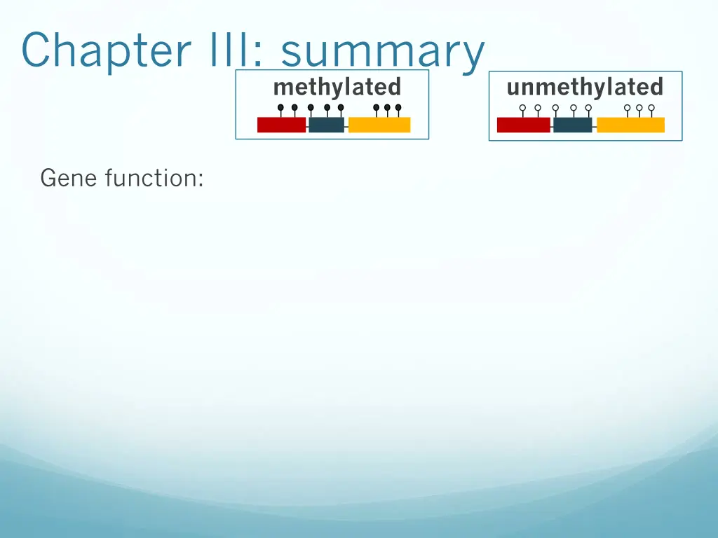 chapter iii summary 2