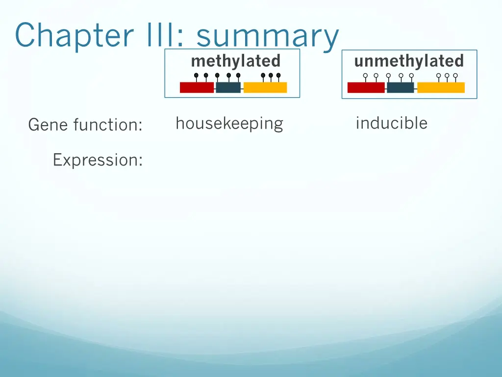 chapter iii summary 4