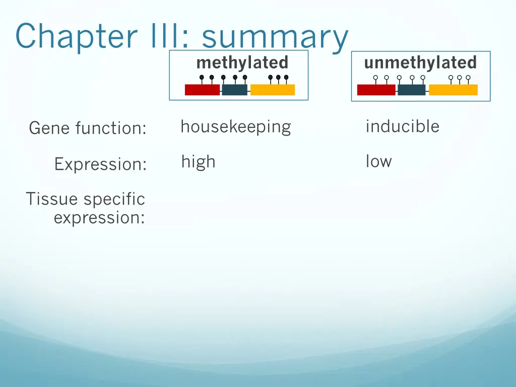chapter iii summary 6