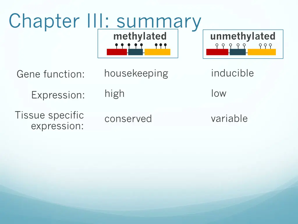 chapter iii summary 7