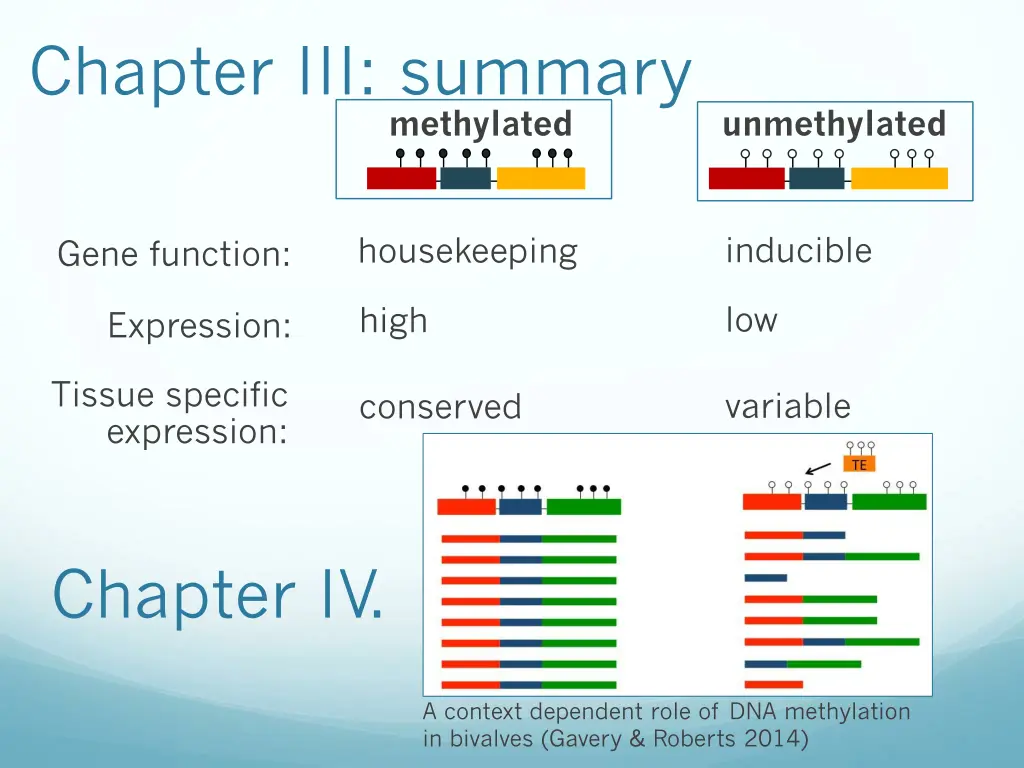 chapter iii summary 8