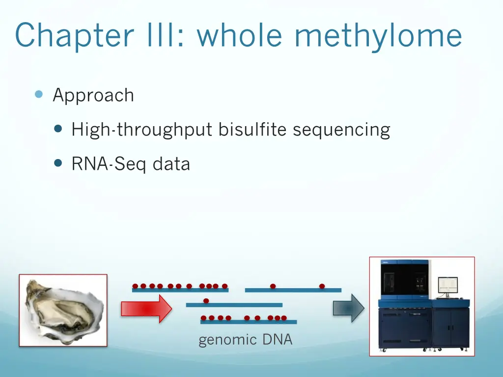 chapter iii whole methylome 2