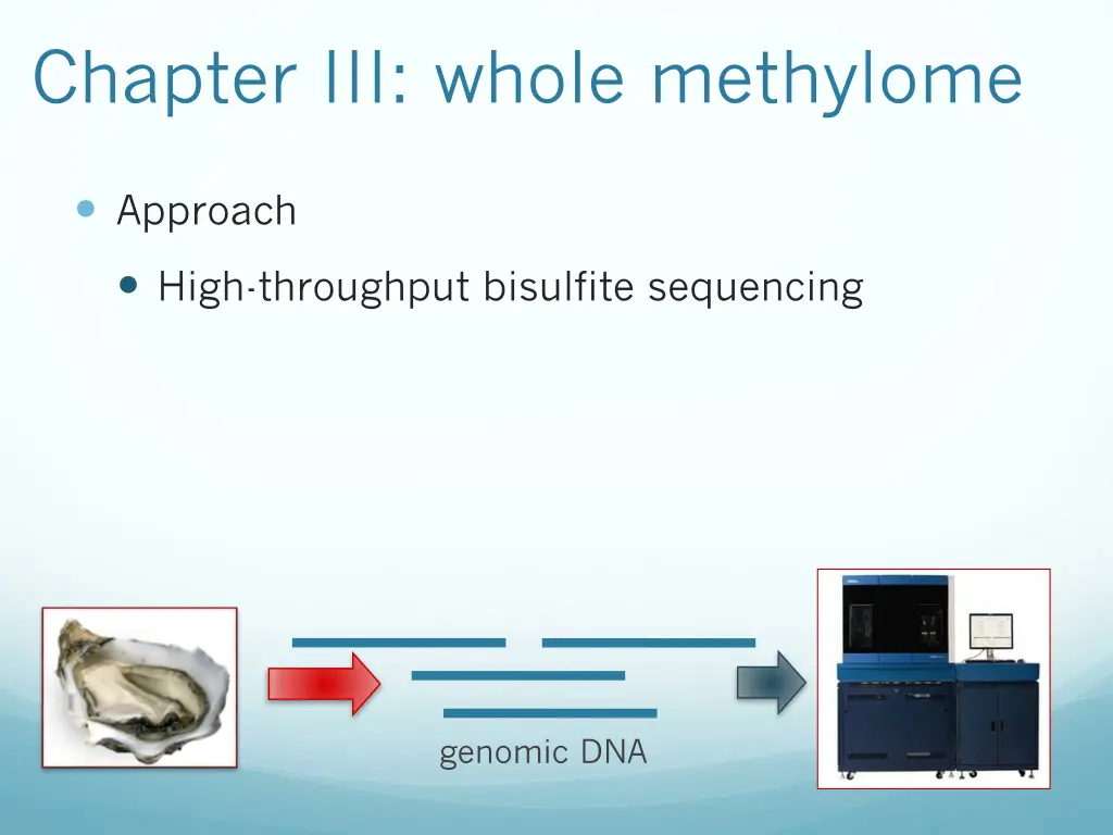 chapter iii whole methylome