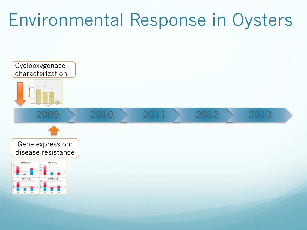 environmental response in oysters 2