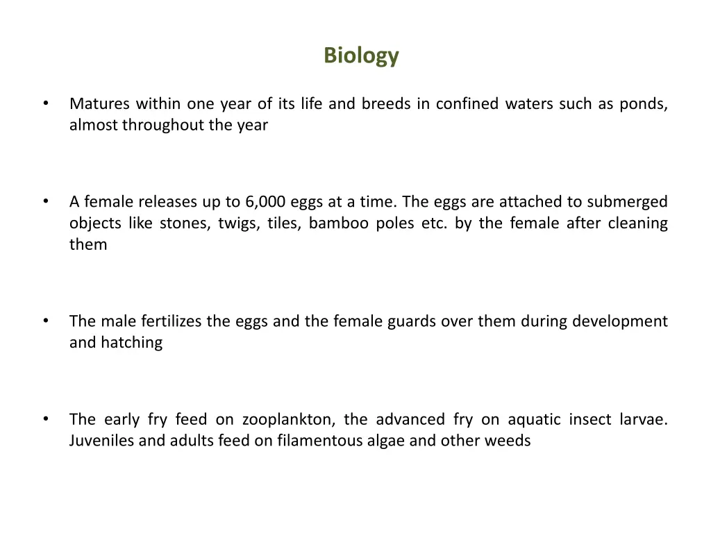 biology 1