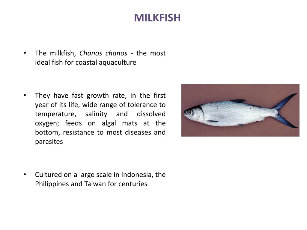 milkfish
