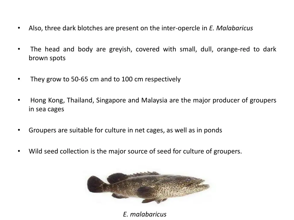 slide18