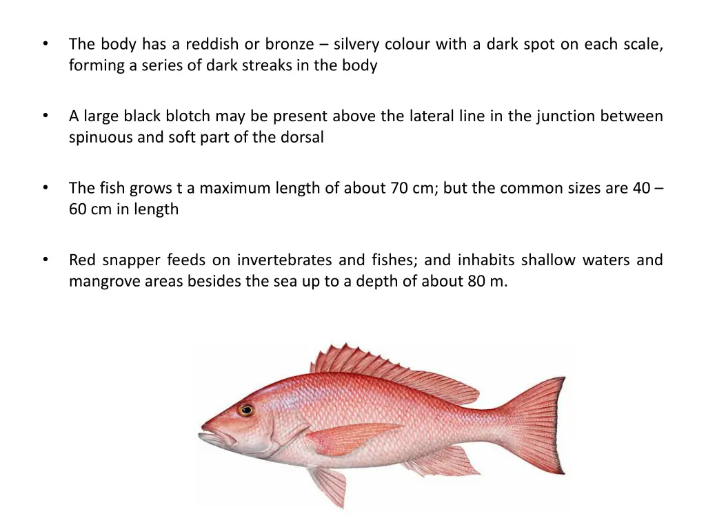 slide20