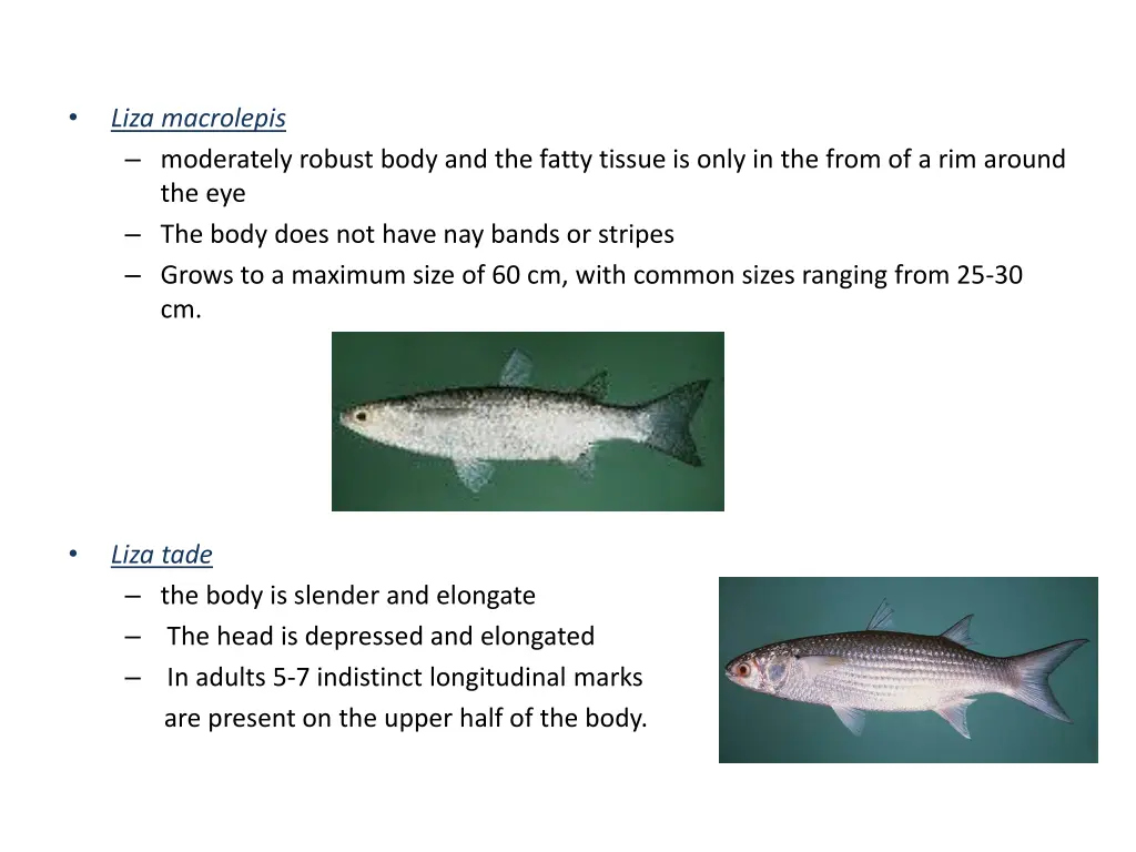 slide5