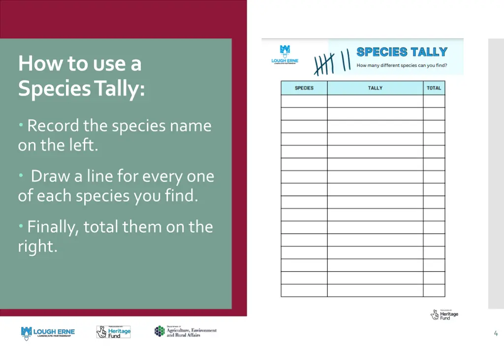 how to use a species tally