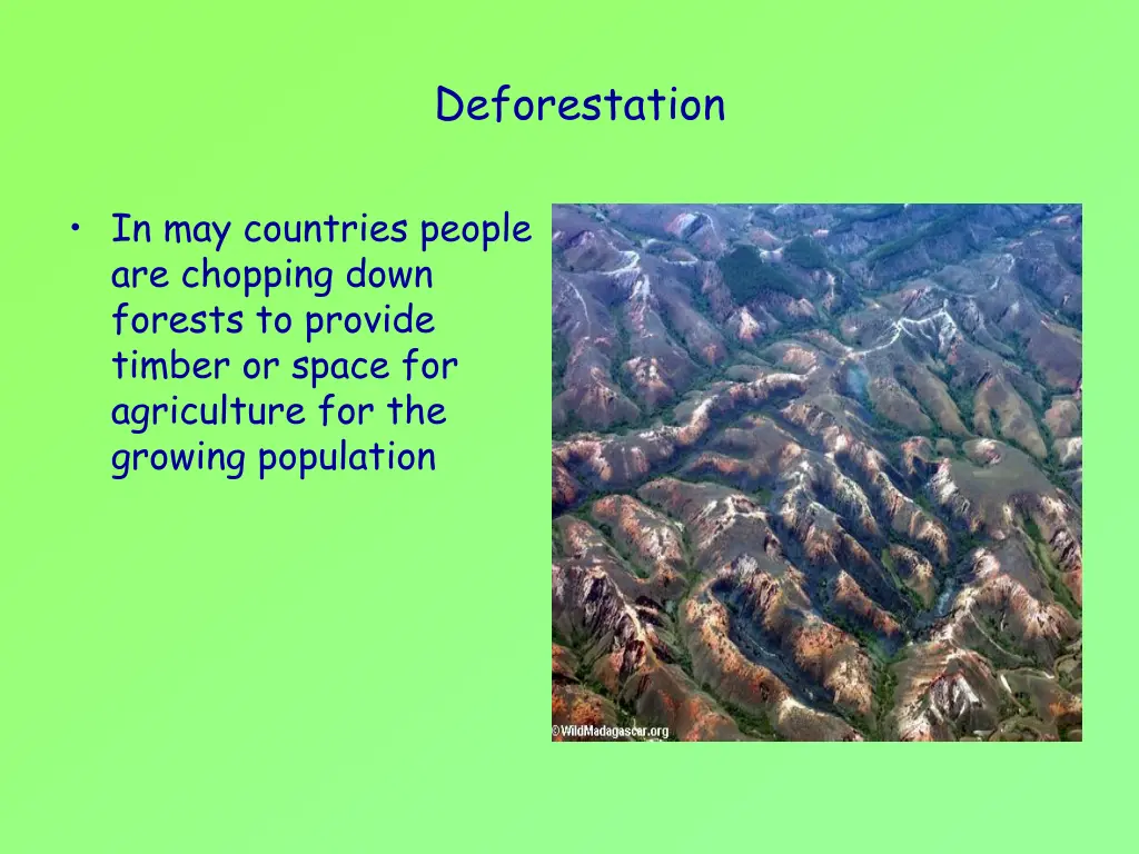 deforestation