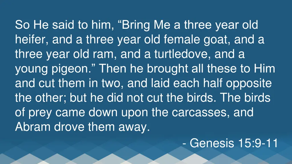 so he said to him bring me a three year