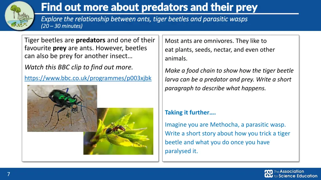 find out more about predators and their prey find