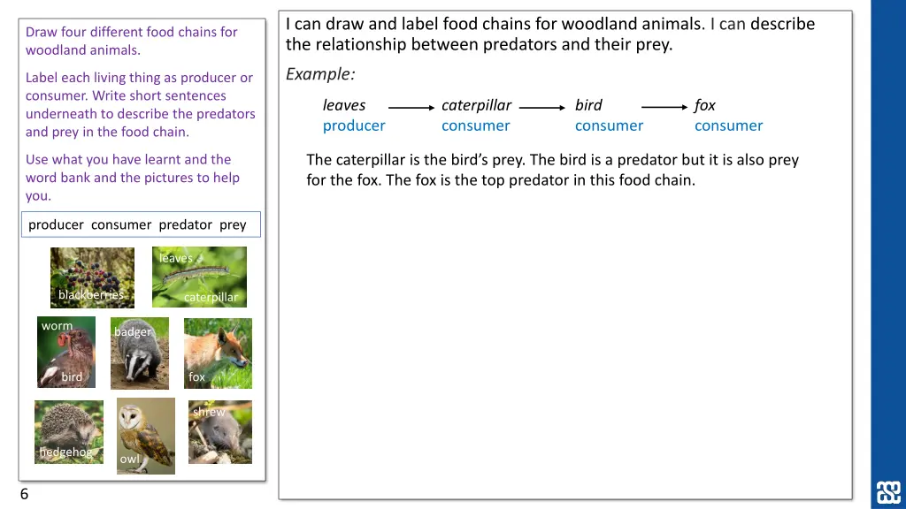 i can draw and label food chains for woodland