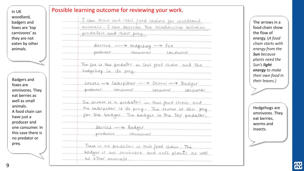 possible learning outcome for reviewing your work