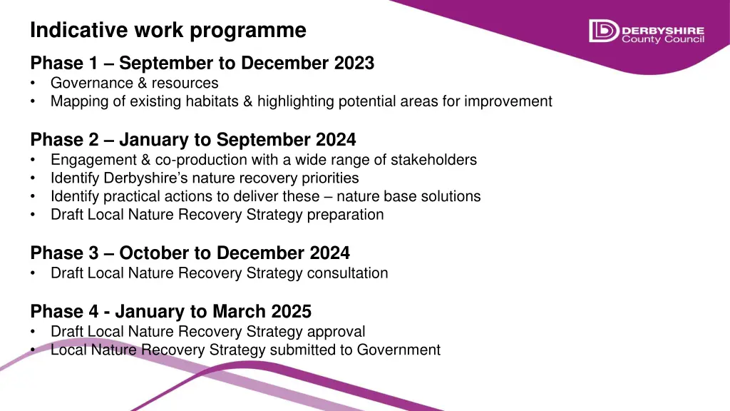 indicative work programme