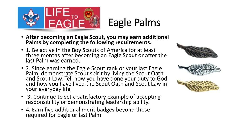 eagle palms eagle palms 1