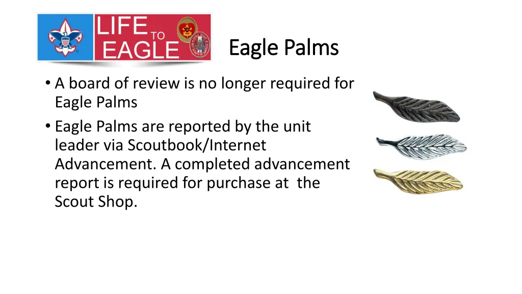eagle palms eagle palms 2