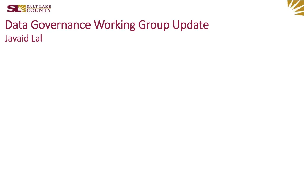 data governance working group update data